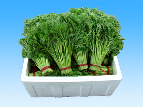 蔬菜保鲜泡沫箱