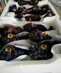 葡萄泡沫箱厂家定制