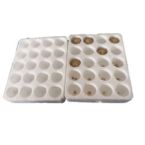 专用精品草莓泡沫托