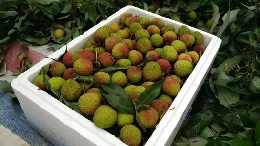 荔枝泡沫箱[水果专用]