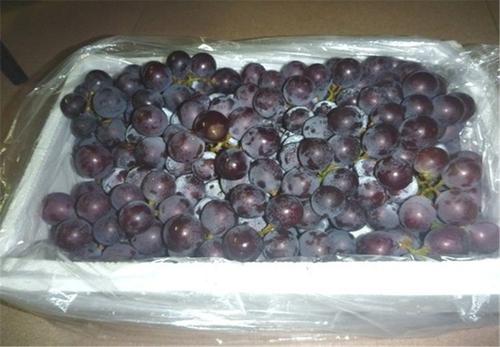 葡萄泡沫箱