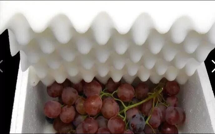 提子泡沫箱_水果专用