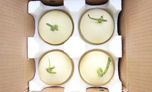 香瓜泡沫箱_水果包装专用
